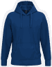 Bleu roi
