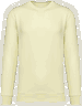 Lemon citrus
