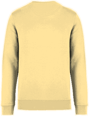 Premium sweater - Pineapple