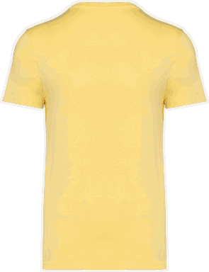 T-shirt unisexe écologique classique - Ananas