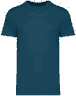 Bleu paon