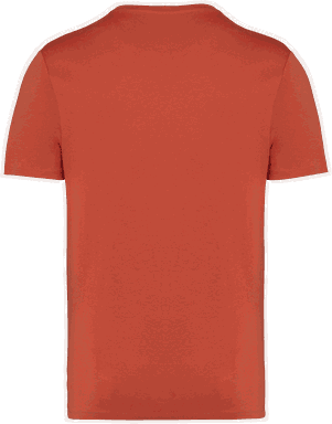 T-shirt unisexe écologique classique - Brique brûlée