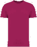 Prune cerise
