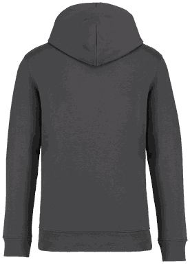 Premium Hoodie - Eisen Grau