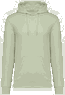 Celadongrün
