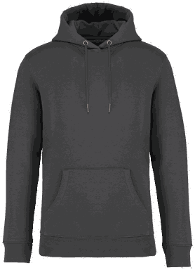 Premium Hoodie - Eisen Grau