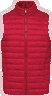 Hibiskus Rot