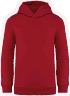 Hibiscus red