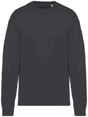 Sweatshirt oversize - Gris Fer