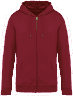 Hibiscus red