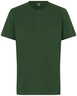 Vert bouteille