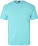 Menthe