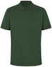 Vert bouteille