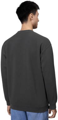 ID Sweatshirt | klassiek 0600