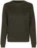 Oliv