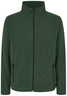 Vert bouteille