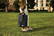 Black+Blum 16L Insulated Tote/ Koel Tas
