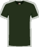 Bottlegreen