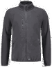Darkgrey