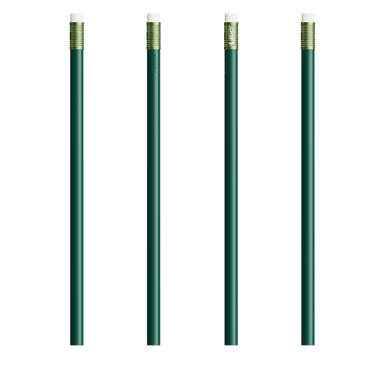 BIC® Evolution® Classic Ecolutions® potlood