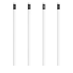 BIC® Evolution® Classic Ecolutions® pencil