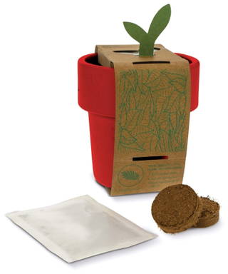 Hot-but-cool beker met aardbeien zaadjes