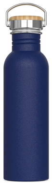 Waterfles Ashton 750ml
