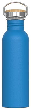 Waterfles Ashton 750ml