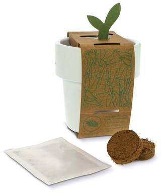 Hot-but-cool beker met kerstomaten zaadjes