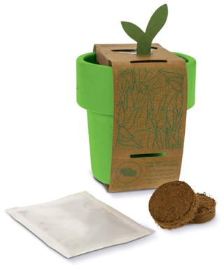Hot-but-cool beker met basilicum zaadjes