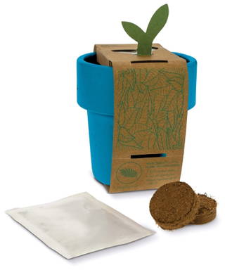 Hot-but-cool beker met basilicum zaadjes