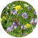 Bloemenzaad vlinder en bijen 4 gram