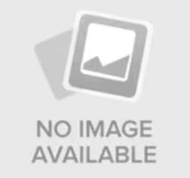 Thermofles Swing 500ml