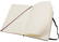 Moleskine Classic L hardcover blanco notitieboek - Zwart