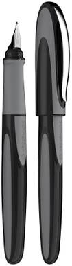Schneider Ray vulpen