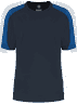 Inkroyalblue