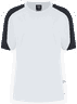 Whiteanthracite