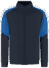 Inkroyalblue