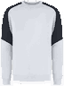 Whiteanthracite
