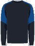 Inkroyalblue