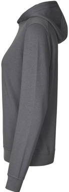 ID PRO Wear CARE Damen Hoodie 0387 - Silbergrau