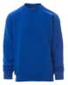 Bleu royal