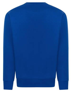 Basics Round neck sweater - Royal blue