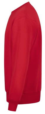 Basics Round neck sweater - Red
