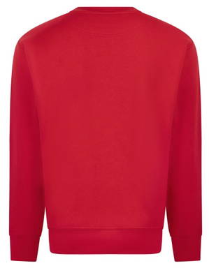 Basics Round neck sweater - Red