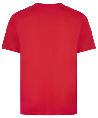 Basics Baumwoll-T-Shirt - Rot