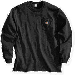 Carhartt Dearborn Loose LS T-Shirt