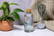 RPET Bottle 500 ml waterfles