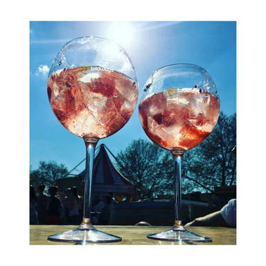 HappyGlass Miss Liza Gin-Tonic-glas Tritan 630 ml
