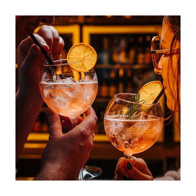 HappyGlass Miss Liza Gin-Tonic-glas Tritan 630 ml